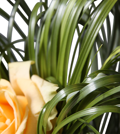 Beargrass bouquet