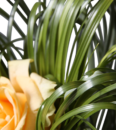 Beargrass bouquet 