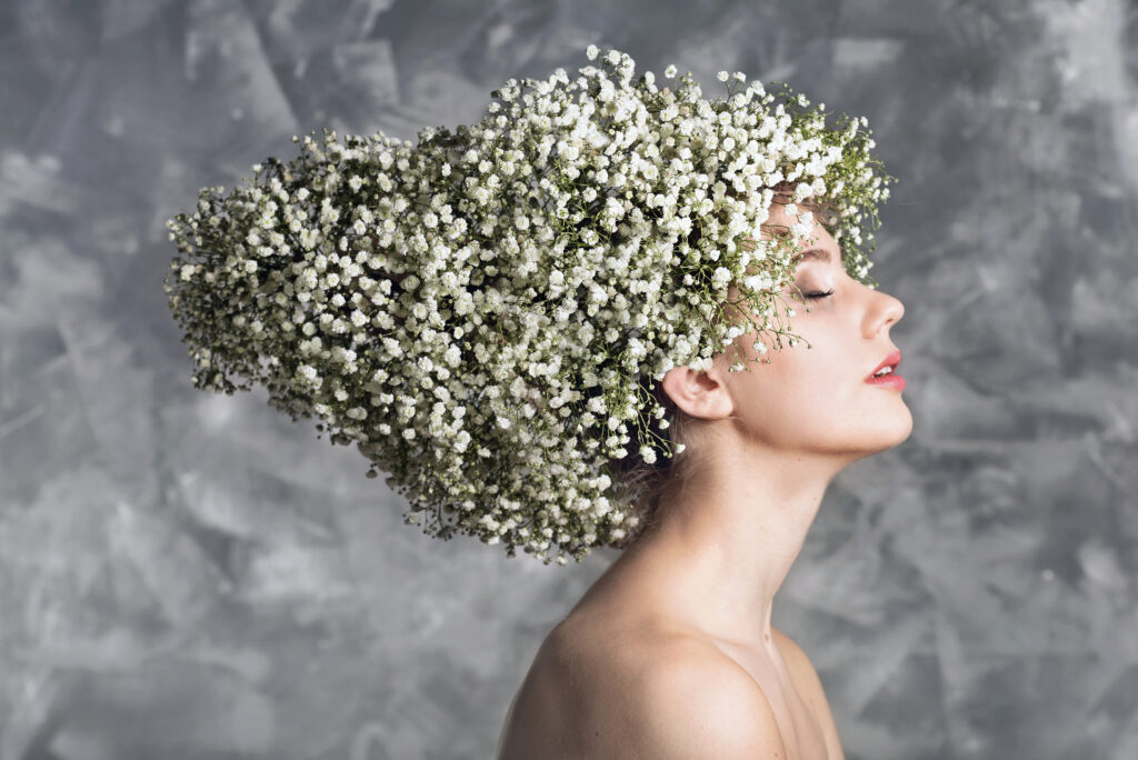 Gypsophila