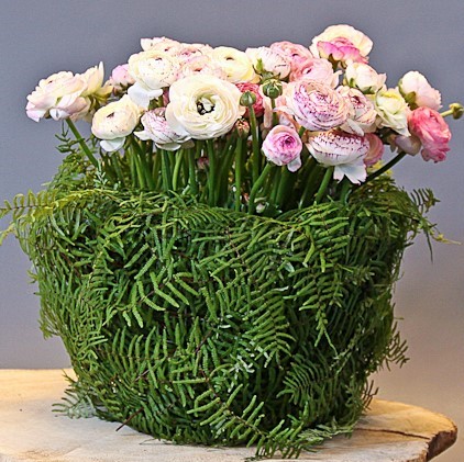 Decoratie met koraal